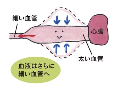 〈下の血圧〉イメージ