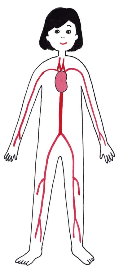 〈血圧〉イメージ