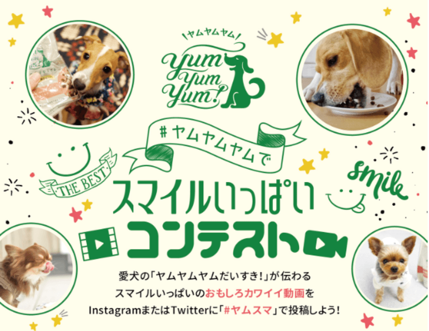 愛犬が「Yum Yum Yum!」を食べている動画を投稿　
ヤムスマ動画コンテストでプロモーション動画デビュー