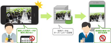 「セキュアカメラ」機能活用イメージ