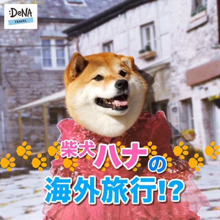 フォロワー10万人超！SNSで大人気の
柴犬ハナとDeNAトラベルがコラボ！！
話題沸騰となったイヤイヤ顔やコスプレ姿など
ここでしか見られないハナの
愛くるしい姿がたっぷり楽しめる動画を公開！
