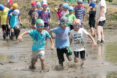 どろんこ運動会