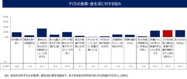 子どもの食事・食生活に対する悩み