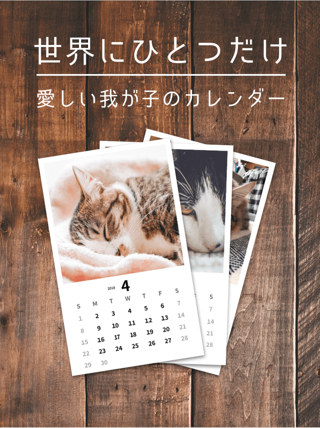 猫好き専用SNSアプリ「ねこすた」がオリジナルカレンダー
作成サービスを開始！写真を選ぶだけの簡単操作