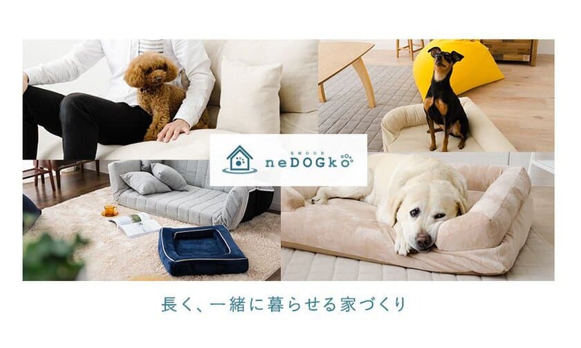 ペット専門の寝具ブランド『neDOGko』のオンラインストア登場　
犬のライフステージ別に選べるベッドなど新商品2種も発売！