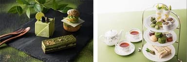 MATCHA COLLECTION(抹茶コレクション)