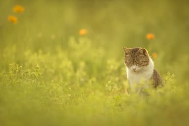 「世界はもっと美しい。」