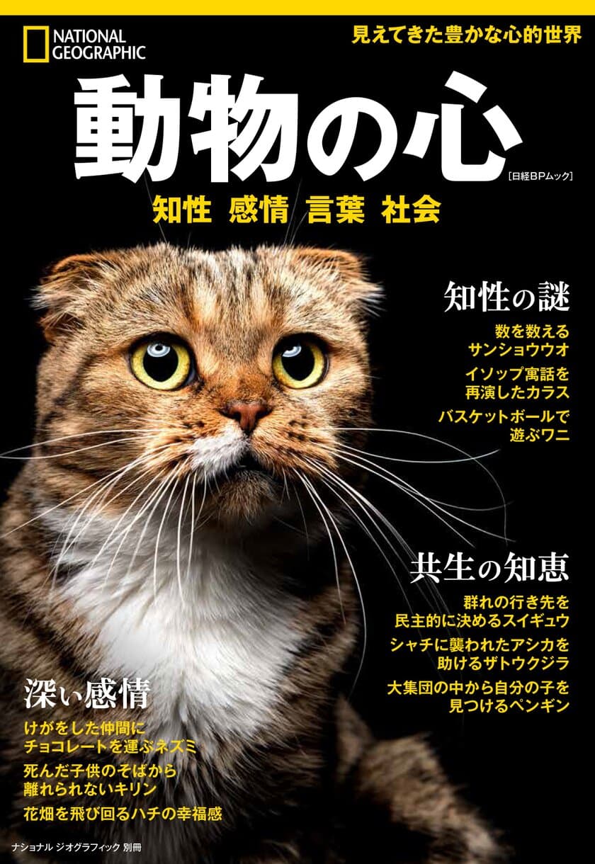 ビジュアル書籍『動物の心 知性 感情 言葉 社会』
4月23日（月）発売