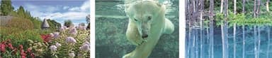 北海道 美瑛・富良野 旭川動物園（イメージ）