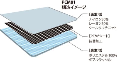 PCM81 構造イメージ