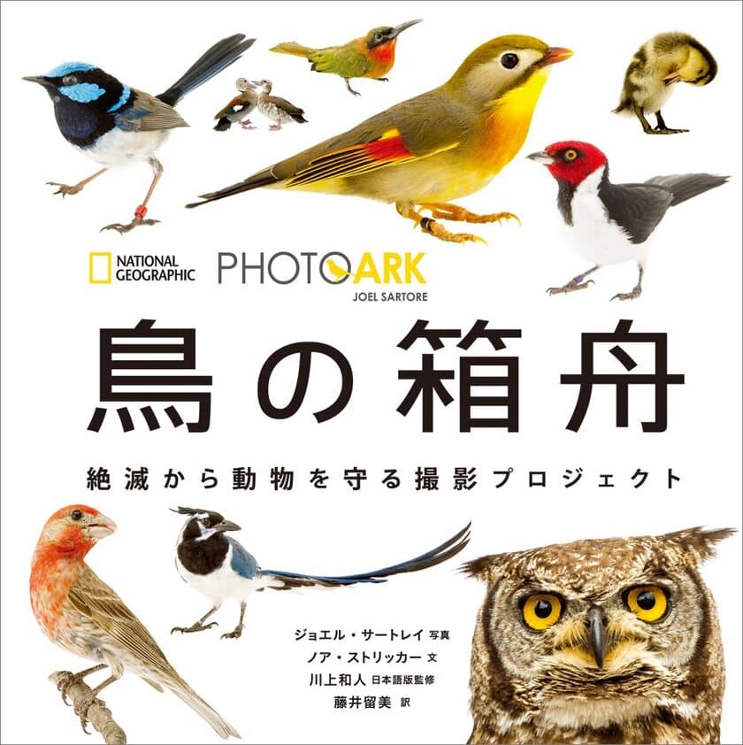 写真集『PHOTO ARK 鳥の箱舟 
絶滅から動物を守る撮影プロジェクト』
5月28日（月）発行