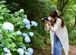 花めぐりの様子