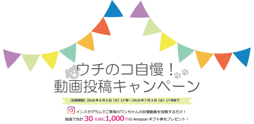 愛犬の動画投稿でAmazonギフト券がもらえる！
ブリーダー×家族のマッチングアプリ『ウィズパピー』
Instagramキャンペーンを開催