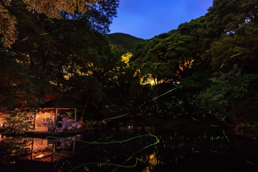 【6月東伊豆イベント情報】今しか体験できない幻想的風景！
『東伊豆まち温泉郷 ほたる観賞の夕べ』6月5日(火)～開催！