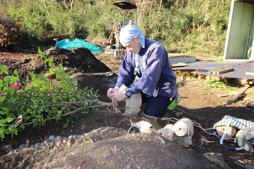 アンケートでわかった、植物を生き物のように考える人が9割以上！
命ある植物を伐採せずに譲り渡せる、里親活動に問合せ急増