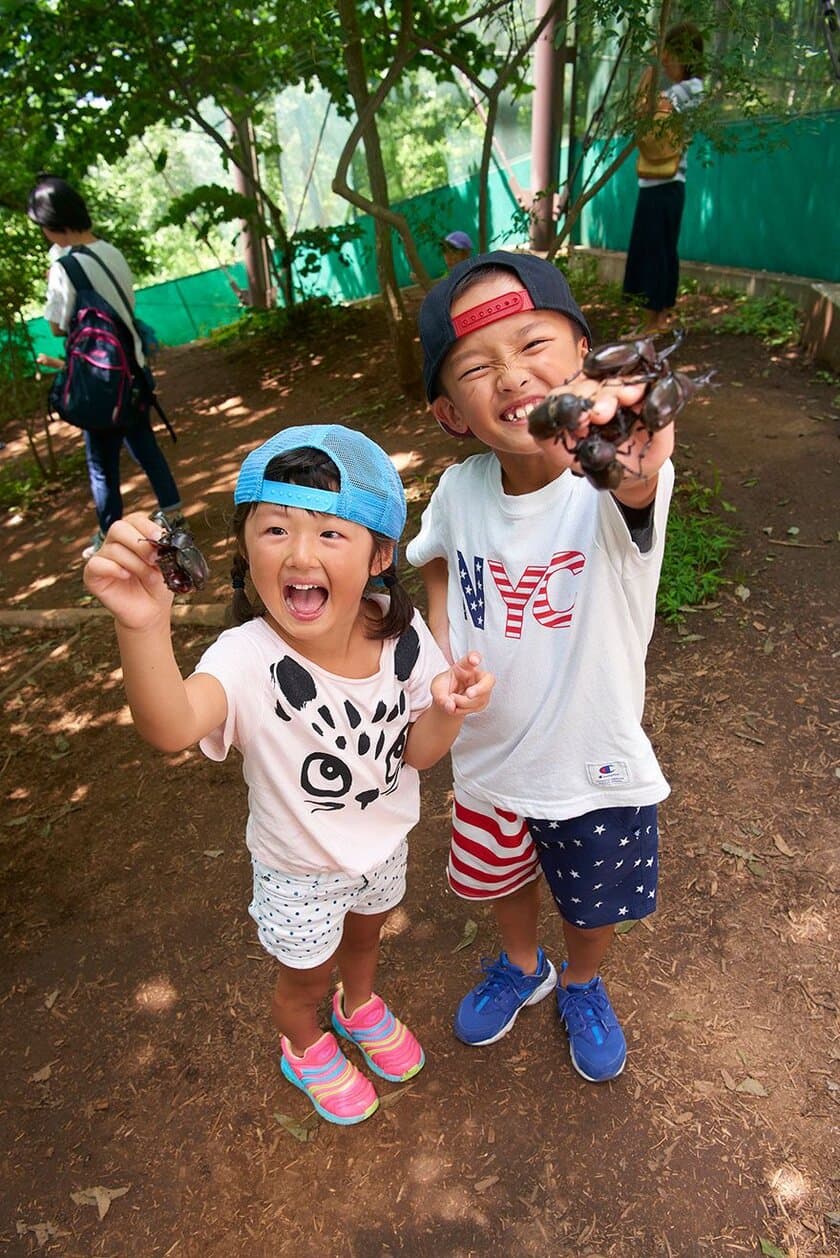 長野県佐久市、日本最大級の「カブトムシドーム」が
7月7日オープン　夏休みに家族でお出かけ！