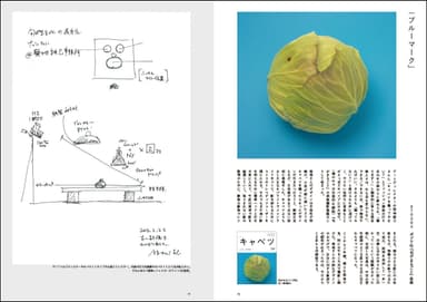 中面：『ブルーマーク』(撮影ノート)