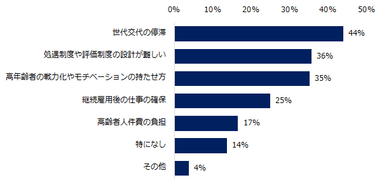 高年齢者雇用の課題について教えてください。（複数選択可）