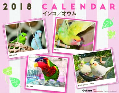 2018年版「インコ・オウム」表紙