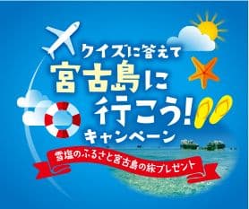 宮古島に行こうキャンペーン ロゴ