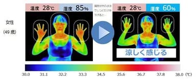 可視化検証試験の結果　女性