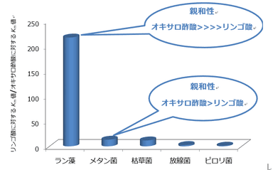 図3. 各微生物から単離されたMDHにおける、リンゴ酸への親和性とオキサロ酢酸への親和性の比（リンゴ酸に対するKm値/オキサロ酢酸に対するKm値）