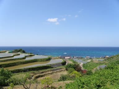 海の京都　丹後