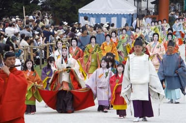 葵祭に使用されるフタバアオイを境内で育成する“葵プロジェクト”(京都府京都市)