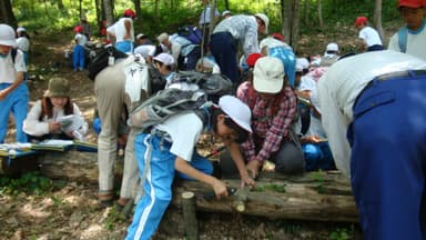 子どもたちと里山を保全するプロジェクト(新潟県新潟市)