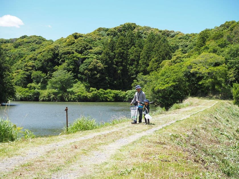 千葉県安房で“里山昆虫探し・SUP”等のローカル体験を！
ローカル体験コンテンツサービス『AWANO』の
7～8月開催イベント、モニター価格(70％オフ)で参加者募集
～夏休み期間限定の親子で楽しめる全6プラン～