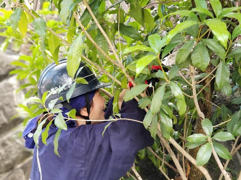 人手不足、若者離れが進む建設、造園業界
造園に“カットモデル”を導入して若手の定着率アップに成功！