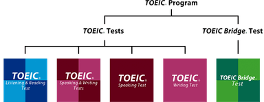 TOEIC(R) Program