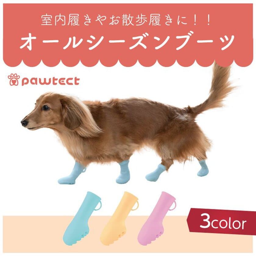 わんちゃんのお散歩から室内履きまで活躍する
カラフルな犬用ブーツ“パウテクト”発売！