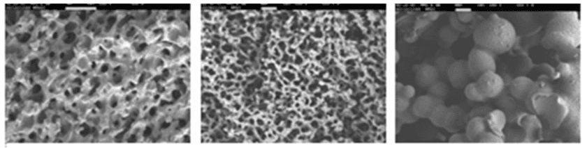 分子構造を任意に制御可能な
多孔質高分子材料の新たな合成方法を確立