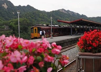 「十分駅にて」