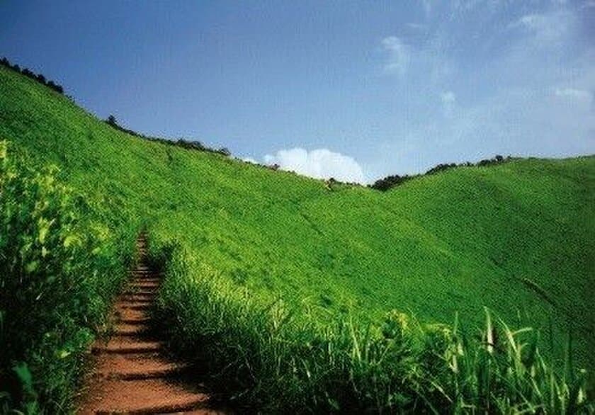 【奈良交通】おでかけに便利！
夏季限定のバス運行について