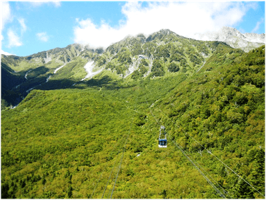 新緑鮮やかな360度パノラマ風景