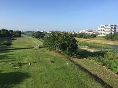 【狭山市】入間川