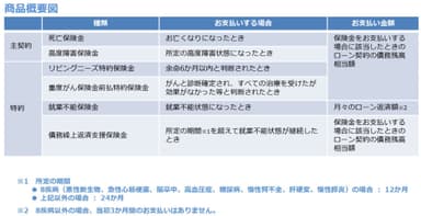 商品概要図