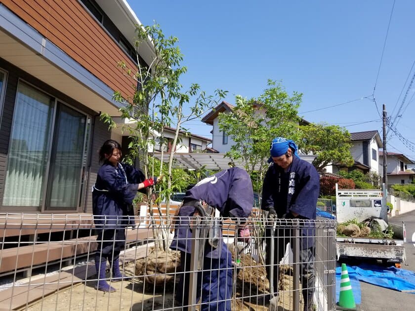 命ある植物、簡単に処分できない!
植木の里親活動で集まった、約 200 本の里親を募集