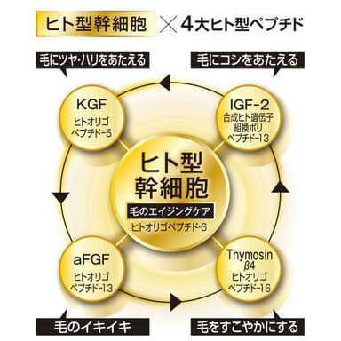 ヒト型幹細胞成長因子と4つのペプチドを配合