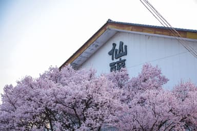 標高が高く、空気が澄んでいる高遠です。