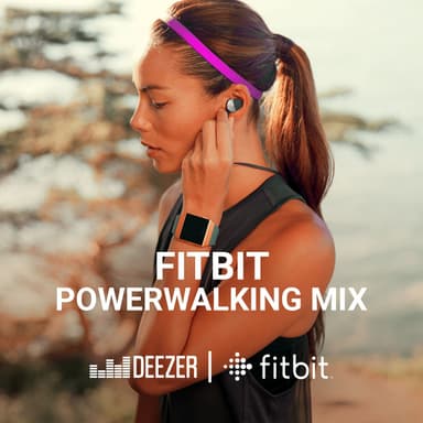 FITBIT POWER WALKING MIX