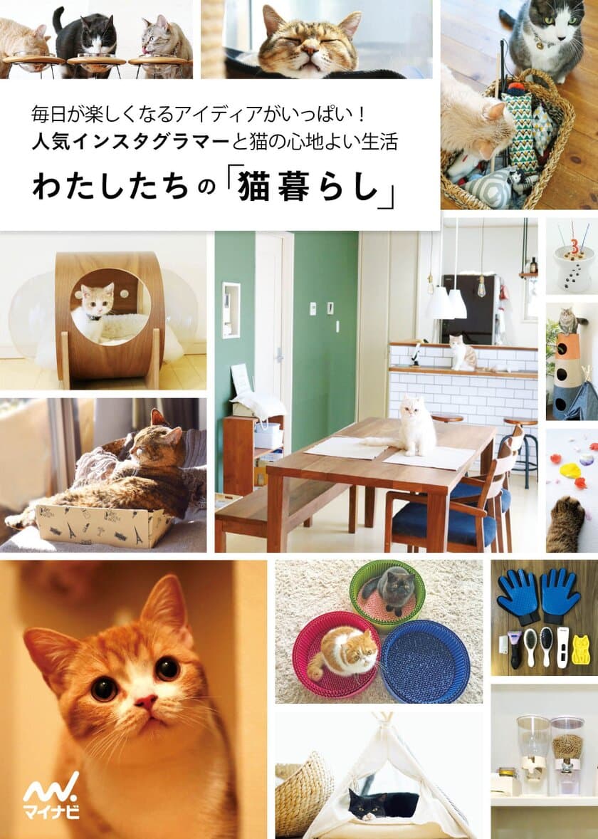 にゃんすたぐらまー必見！愛猫と心地よく暮らすアイデア満載
『わたしたちの「猫暮らし」』8/1発売！