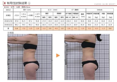 カーブ シートによる有用性試験結果の一例