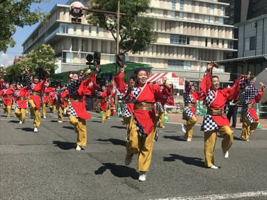 よさこい祭りで踊る踊り子たち_2