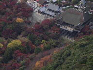 【星のや京都】清水寺