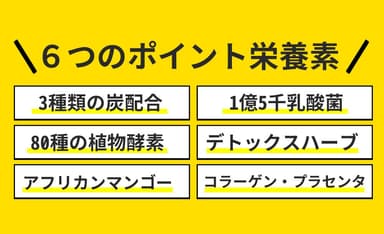 ウルトラチャコールに含まれる6つの主要な栄養成分。