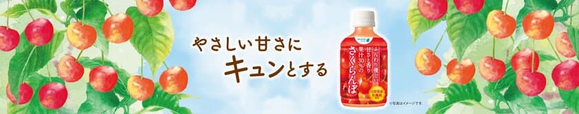 8月28日（火）発売！
「ふんわり優しい甘さと香り果汁30％のさくらんぼ」