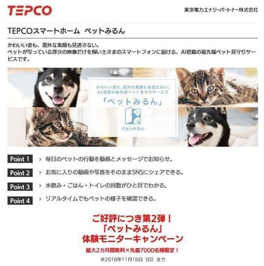 ペットみるんWebサイト